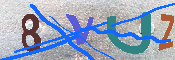 キャプチャ画像