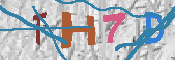 キャプチャ画像