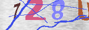 キャプチャ画像