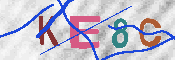 キャプチャ画像