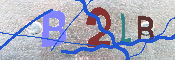 キャプチャ画像