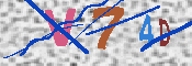 キャプチャ画像