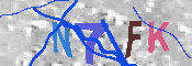 キャプチャ画像