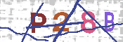 キャプチャ画像