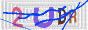 キャプチャ画像