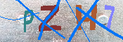 キャプチャ画像