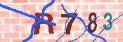 キャプチャ画像