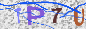 キャプチャ画像