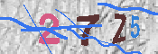 キャプチャ画像