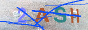 キャプチャ画像