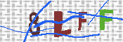 キャプチャ画像