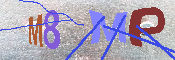 キャプチャ画像