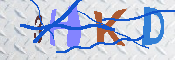 キャプチャ画像