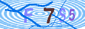 キャプチャ画像