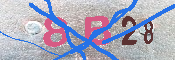 キャプチャ画像