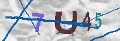キャプチャ画像
