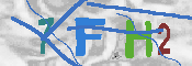 キャプチャ画像
