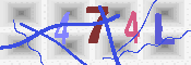 キャプチャ画像