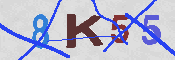 キャプチャ画像