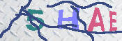 キャプチャ画像