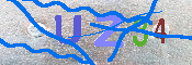 キャプチャ画像