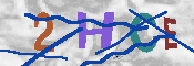 キャプチャ画像