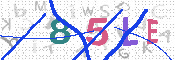 キャプチャ画像