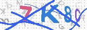 キャプチャ画像
