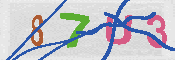 キャプチャ画像