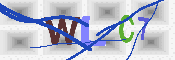 キャプチャ画像