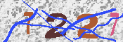 キャプチャ画像