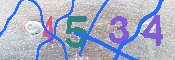 キャプチャ画像
