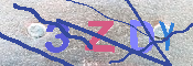 キャプチャ画像