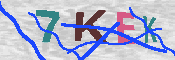 キャプチャ画像