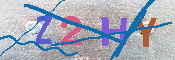 キャプチャ画像
