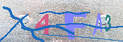 キャプチャ画像