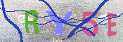 キャプチャ画像