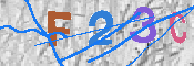 キャプチャ画像