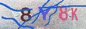 キャプチャ画像