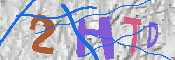 キャプチャ画像