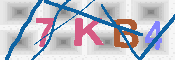 キャプチャ画像