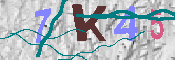 キャプチャ画像