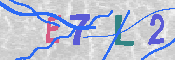 キャプチャ画像