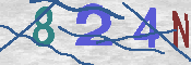 キャプチャ画像