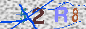 キャプチャ画像