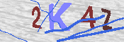 キャプチャ画像