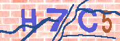 キャプチャ画像