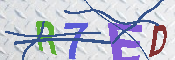 キャプチャ画像