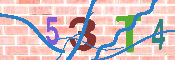 キャプチャ画像