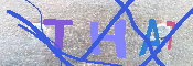 キャプチャ画像